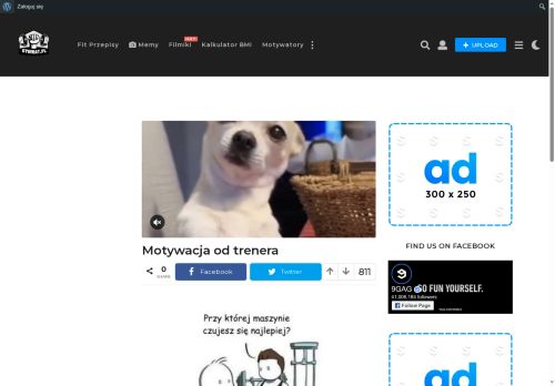 gymrat.pl