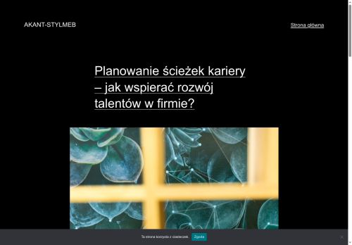 akant-stylmeb.pl