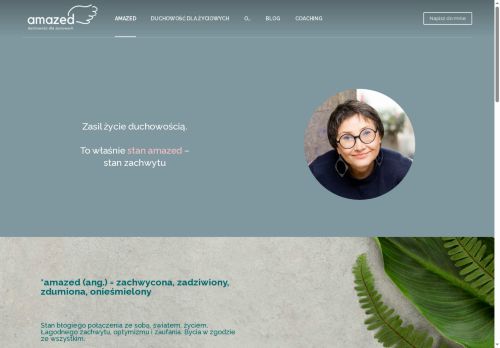 amazed.pl