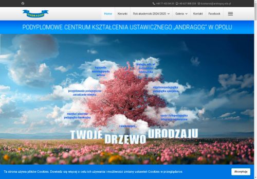 andragog.edu.pl