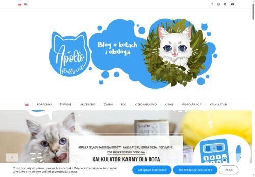 apollofluffycat.com