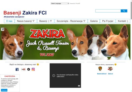 basenji-zakira.pl