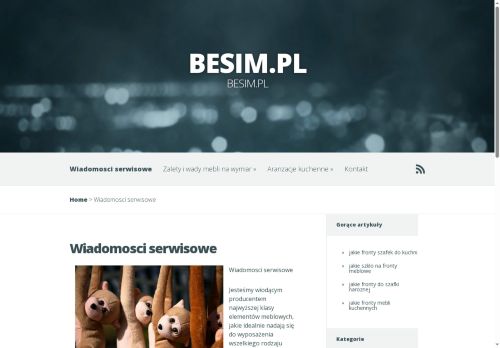 besim.pl