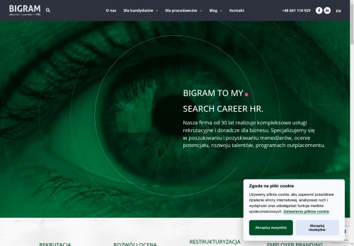 bigram.com.pl