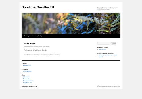 borelioza.gazetka.eu