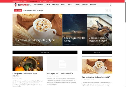 byrosann.pl