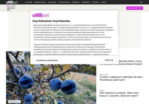 chillizet.pl