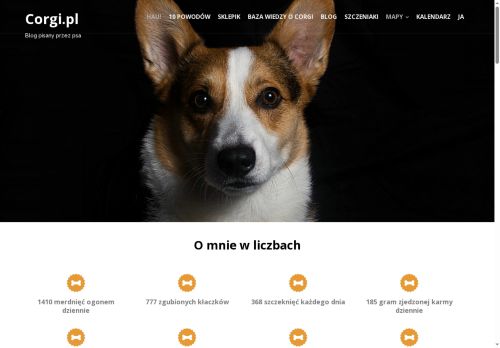 corgi.pl