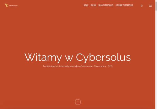 cybersolus.pl