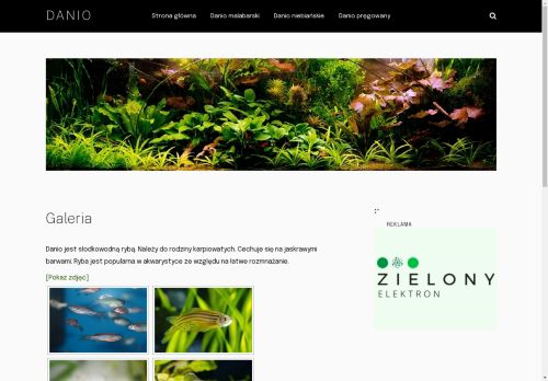 danio.pl