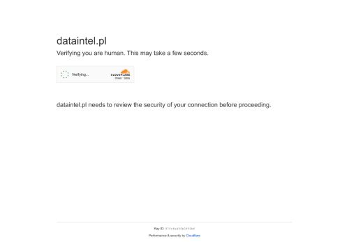 dataintelligence.pl