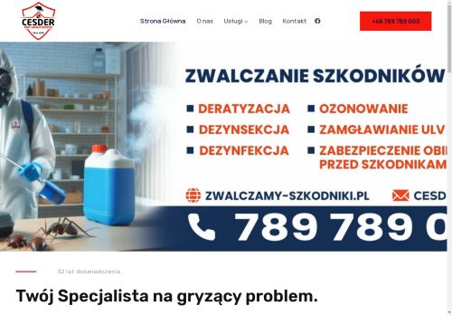 dddwierzchowski.pl