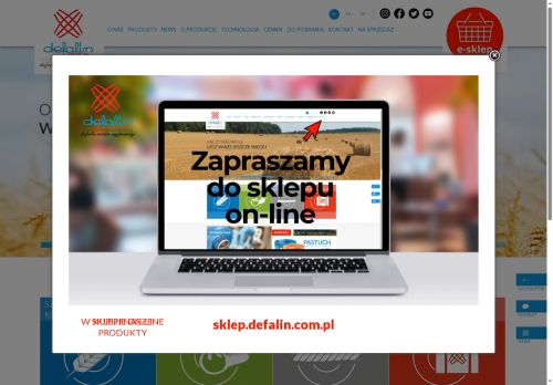 defalin.com.pl