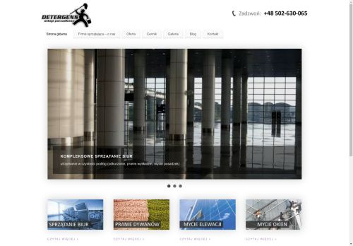 detergens.pl