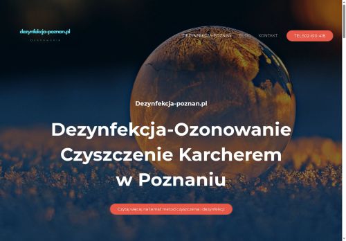 dezynfekcja-poznan.pl