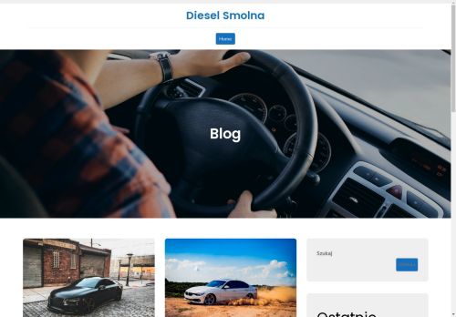 diesel-smolna.pl