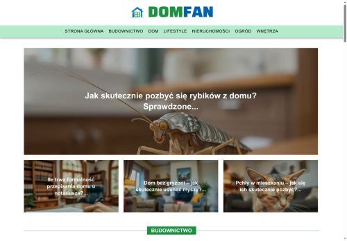 domfan.pl