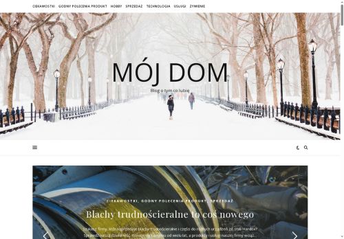 domyszkieletowe.wroclaw.pl