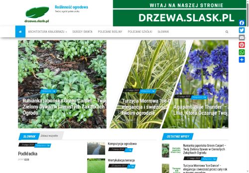 drzewa.slask.pl