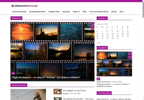 efektywnewbiznesie.pl