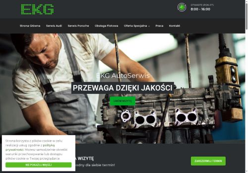 ekgautoserwis.pl