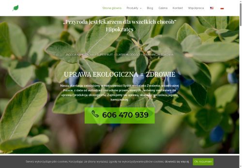 ekojagoda.pl