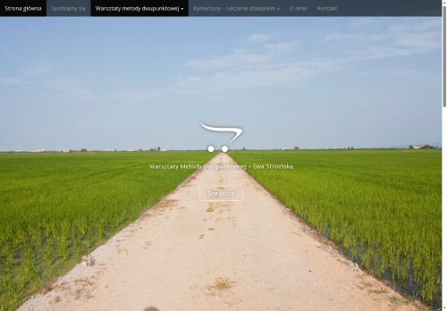 ewolucje.com.pl