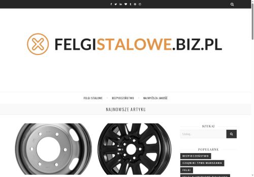 felgistalowe.biz.pl