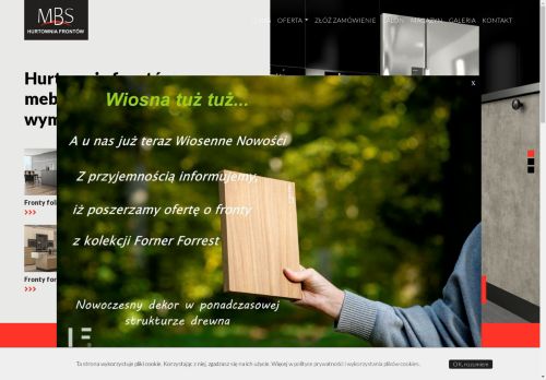 frontymbs.pl