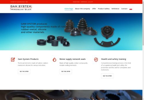 gamsystem.pl