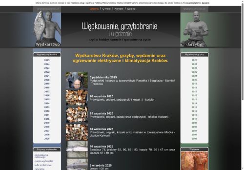 grzegorzswiadek.pl