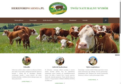herefordwarmia.pl