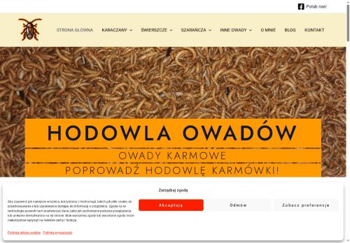 hodowlaowadow.pl
