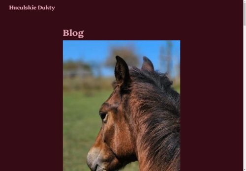 huculskiedukty.pl