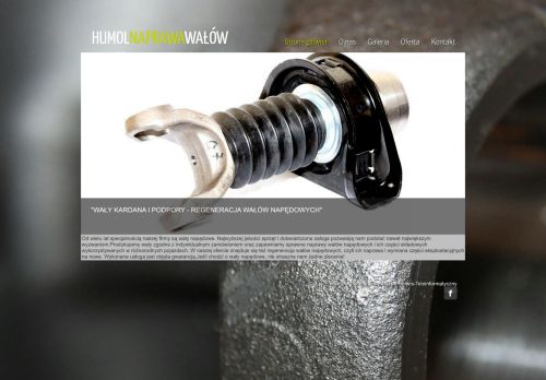 humol-waly.pl