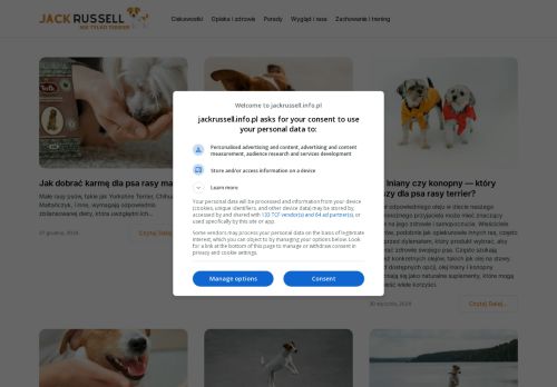 jackrussell.info.pl