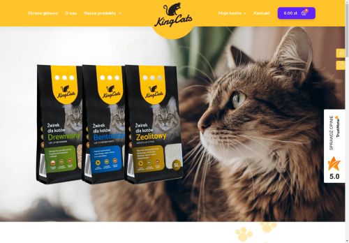 kingcats.pl