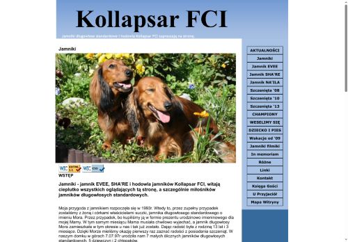 kollapsar.com.pl
