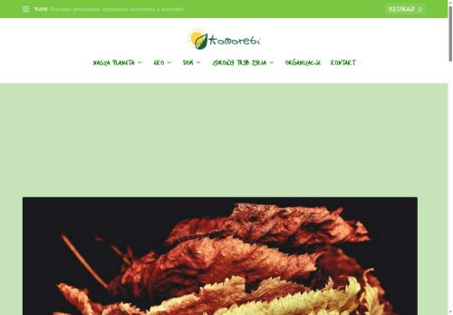 komorebi.com.pl