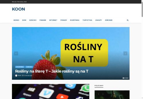 koon.pl
