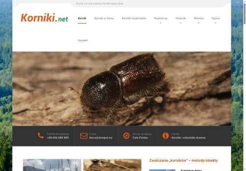 korniki.net