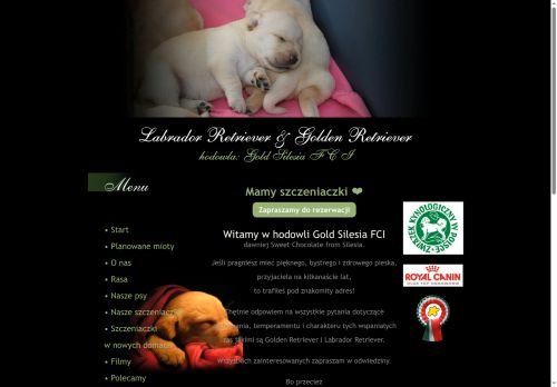 labradoryslask.pl