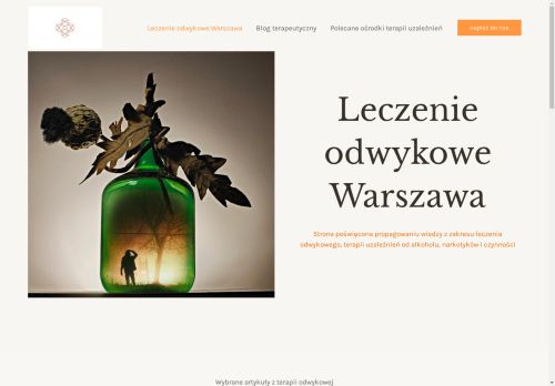 leczenieodwykowe.pl