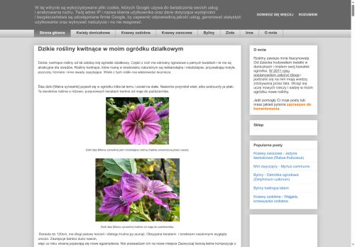 miechunka.blogspot.com