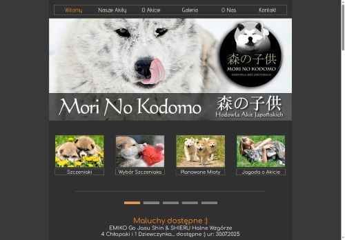 morinokodomo.pl