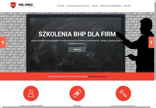 ms-pro.pl
