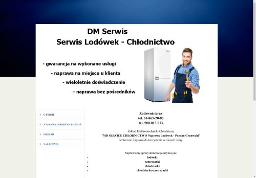 naprawalodowek.com