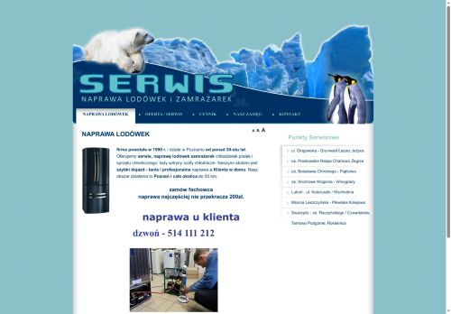 naprawalodowekpoznan.com.pl