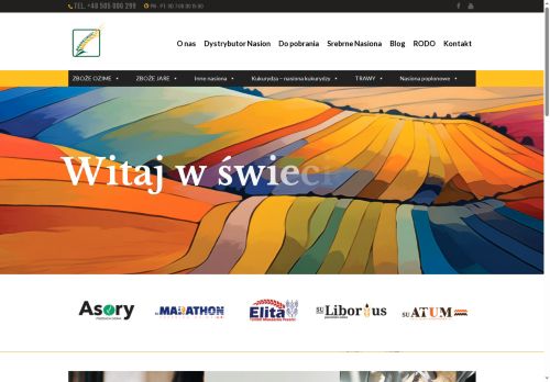 nasionawronkowski.pl