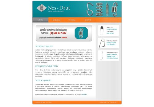 nes-drut.com.pl